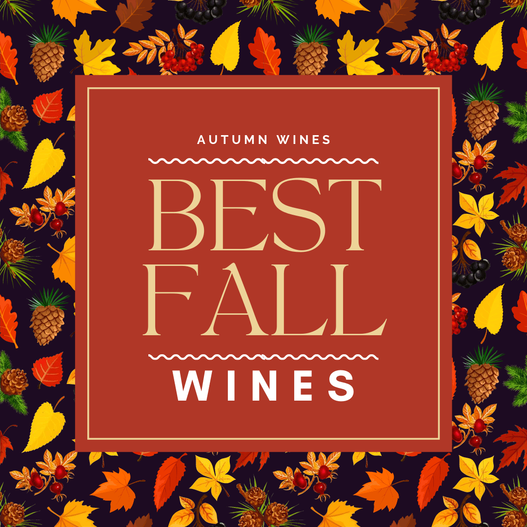 Best Wines for the Fall | The Wine Concierge
