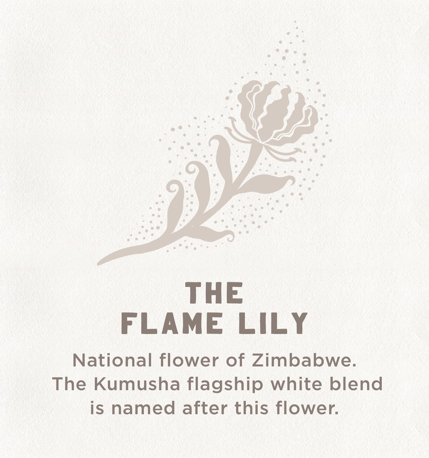 2022 Kumusha 'Flame Lily' White Blend, Slanghoek, Western Cape, SA