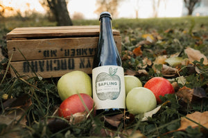 NV Brother's Ridge "Sapling" Cider, New Windsor, Maryland - The Wine Concierge