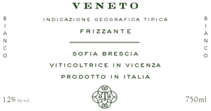 2024 Mary Taylor Veneto Frizzante Sofia Brescia IGT, Italy - The Wine Concierge